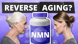 REVERSE AGING Dr David Sinclair on NMN amp Top NMN Benefits [upl. by Ahsennek]