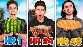 Eating Only Minecraft Food for 50 Hours [upl. by Anire]