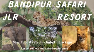 Bandipur Tiger Reserve  Wild dog  Gaur  Warning calls  JLR resorts  Summer safari [upl. by Ensign]