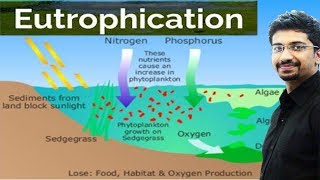 Eutrophication  Causes Effects for UPSC IAS preparation Environment and ecology [upl. by Elo]