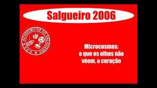 Salgueiro 2006 Ao Vivo [upl. by Kcirneh]