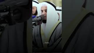 Beautiful Quran Recitation [upl. by Hsaniva456]