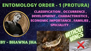 Apterygota order  Protura  BY  BHAWNA JHA [upl. by Esaj]