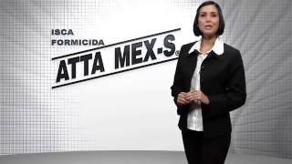 VÍDEO INSTITUCIONAL UNIBRÁS  ISCA FORMICIDA ATTA MEXS [upl. by Allie]