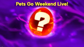 Live With You In Pets Go [upl. by Ilyk742]