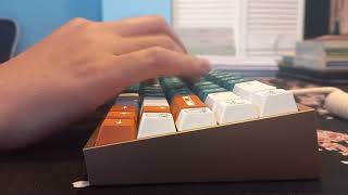 Tofu FA sound test  Gateron Baby Kangaroo 20  GMK Marmoreal  Tape moded [upl. by Iblok]