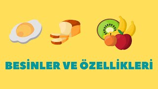 4 Sınıf Besinler ve Özellikleri Proteinler Vitaminler Karbonhidratlar [upl. by Farlie920]