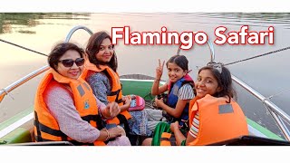 Flamingo Park Mumbai  Flamingo Safari Airoli  Thane Creek Flamingo Sanctuary Boat safari Mumbai [upl. by Naryb]