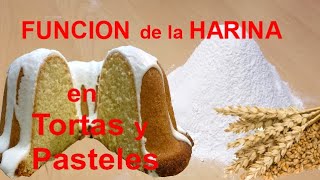 Función de la Harina enTortas y Pasteles│Club de Reposteria [upl. by Nitsyrk]