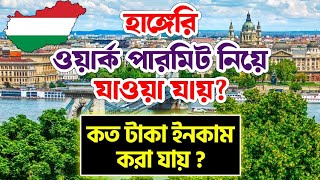 হাঙ্গেরী প্রতি মাসে কত টাকা ইনকাম করা যায়  Hungary Work Permit  Hungary Work Visa hungaryvisa [upl. by Toomay]