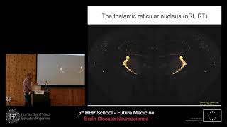 Huguenard John  Modeling specific circuit deficits underlying genetic epilepsies [upl. by Firehs]