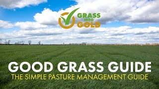 Barenbrug Good Grass Guide  How to Score Your Fields for Maximum Profitability [upl. by Jannelle]