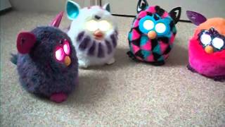 New Furby Convo with Furby Boom and Crystal Series [upl. by Nennarb]