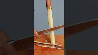 Peeling sugar cane is super satisfying 02 [upl. by Annairoc]