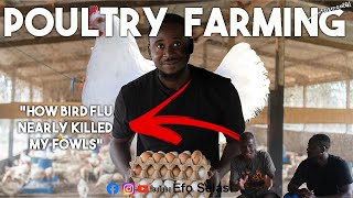 How To Start a Successful POULTRY FARM as a BEGINNER in Ghana How he almost lost farm to bird flu [upl. by Lafleur]