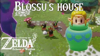 The Legend of Zelda Echoes of Wisdom BLOSSUS HOUSE RIFT AND ESCAPING FROM DEKU PRISON WALKTHROUGH [upl. by Tacklind]