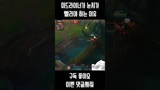 미드라이너가 눈치가 빨라야 하는 이유 리그오브레전드 게임 leagueoflegends [upl. by Edrahs]