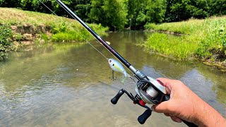 Fishing Big Lures in a Small Creek [upl. by Chance]