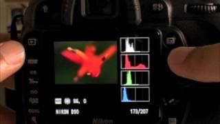 Nikon D90 Image Preview and Review [upl. by Brennen958]