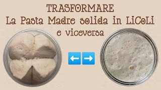 TRASFORMARE LA PASTA MADRE in LICOLI [upl. by Aciruam]