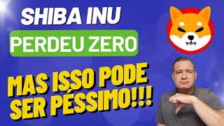 URGENTE SHIBA PERDEU UM ZERO MAS ALGO DE RUIM PODE ACONTECER ðŸ˜¢ [upl. by Gerhardt]