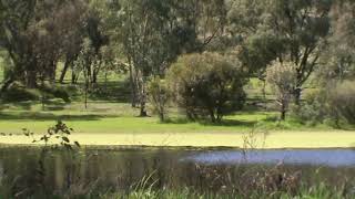 Quirindi Heritage Village RailwayQuirindi [upl. by Spatola]