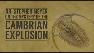 Why Intelligent Design Describes the Cambrian Explosion [upl. by Adnama134]