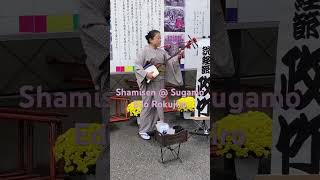 Shamisen at the Sugamo Edo Rokujizo Chrysanthemum Festival shamisen japan [upl. by Notsyrb568]