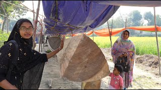 ১২ লাখ টাকার নৌকা  Doyel Agro [upl. by Noitsirhc]