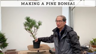 How To Make A Pine Bonsai [upl. by Fernald]