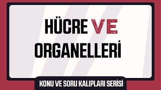 Hücre ve Organelleri Konu ve Soru Kalıpları Serisi [upl. by Austin]