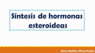 sintesis de hormonas esteroideas [upl. by Simonsen902]