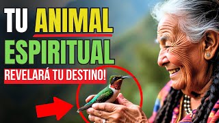 Descubre El Animal Que Te Guía Según Tu Mes De Nacimiento  Sabiduría Tolteca [upl. by Blight770]