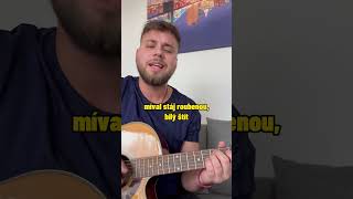 rez  holubí dům 🏡 cover [upl. by Wye]