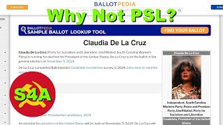 quotWhy Not PSLquot Thoughts on the US Elections Obstacles to the US Left Bernie Sanders DSA amp More [upl. by Enyaz441]