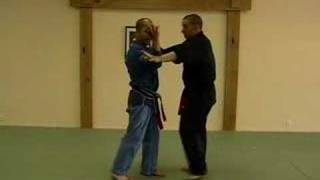 CASA DE KENPO  PURPLE BELT  HOOKING WINGS [upl. by Nylegna282]