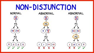 Chromosomal Abnormalities Aneuploidy and NonDisjunction [upl. by Nnair]