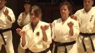 The 3rd Okinawa Traditional Karate and Kobudo Worldwide Seminar Movie [upl. by Netniuq]