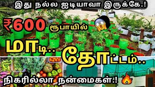 பட்டய கெளப்பும் மாடித்தோட்டம்  கட்டாயம் தெரிஞ்சுக்கோங்க  Start a 𝐒𝐢𝐦𝐩𝐥𝐞 𝐓𝐞𝐫𝐫𝐚𝐜𝐞 𝐆𝐚𝐫𝐝𝐞𝐧 Ideas [upl. by Omlesna157]