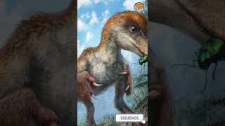 Algunos dinosaurios eran increíblemente pequeños dinosaurios history prehistoria jurassic trex [upl. by Bobby]