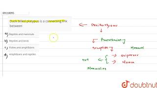 Duck billed platypus is a connecting link between [upl. by Artenahs]