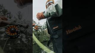 Fall’s for Musky fishin flyfishingonly fishing musky sports autumn fall flyfishing fyp [upl. by Harden]