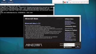 Faire fonctionner Minecraft sur Ubuntu avec une carte graphique ATI [upl. by Salmon]