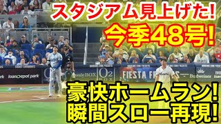 スタジアム見上げた！豪快ホームラン瞬間スロー映像！現地映像 [upl. by Walczak]