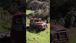 1940S Bedford Truck Found Within Back Country New Zealand newzealand travel backcountry [upl. by Freudberg]