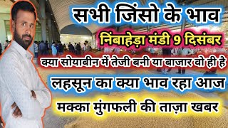 निंबाहेड़ा मंडी भाव  Nimbahera Mandi Bhav today  लहसून मक्का गेहूं सोयाबीन मुंगफली के भाव Nimbada [upl. by Etna553]