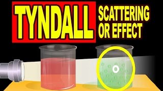 Tyndall Scattering or Tyndall Effect  Video Explanation [upl. by Melnick]