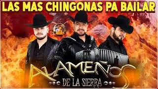 Los Alameños de La Sierra  Las Mas Chingonas Pa Bailar  100 Cumbias Sierreñas [upl. by Russo]