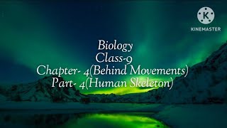 Class 9BiologyChapter4Part4Human Skeleton [upl. by Nora]