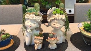 4 Heads Succulent Arrangements [upl. by Camala]